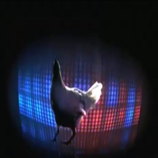 chiken song