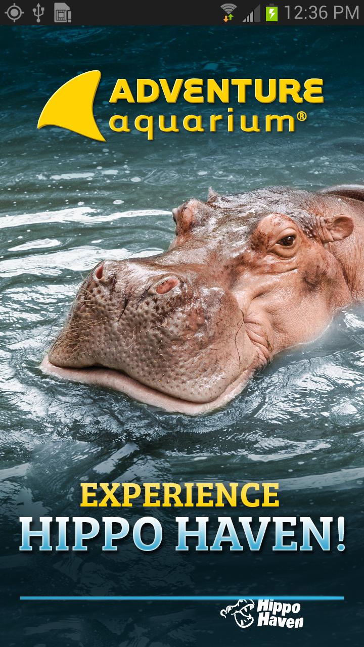 Adventure Aquarium