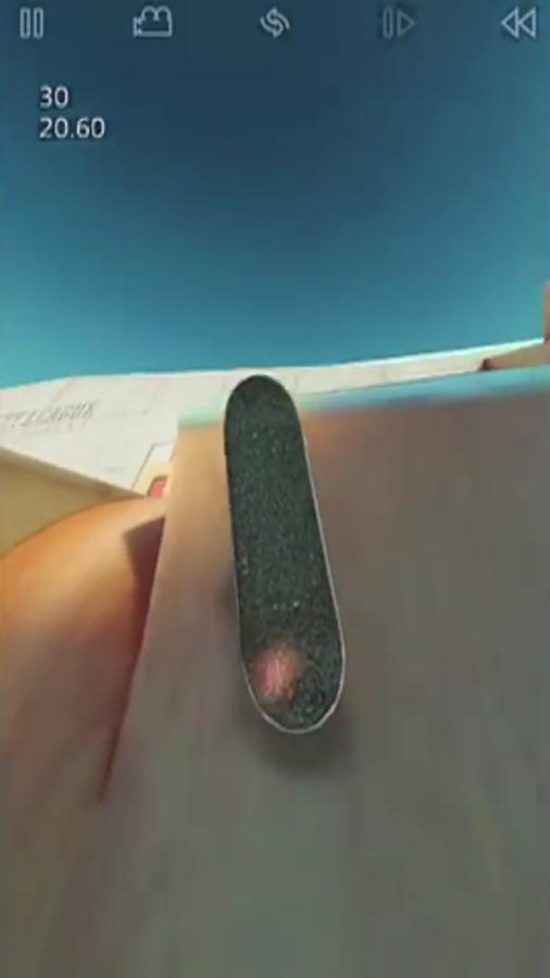 Guide for True Skate